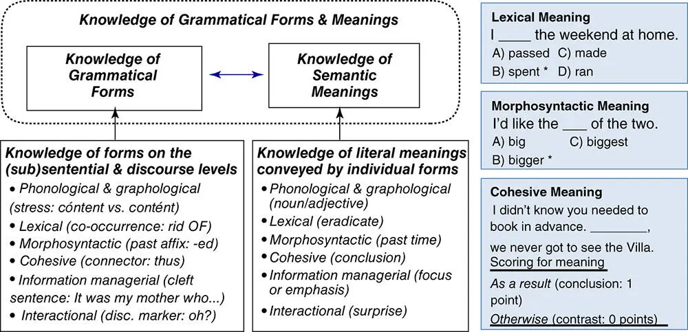Figure 4 Semantico grammatical knowledge adapted from Purpura 2004 - фото 7