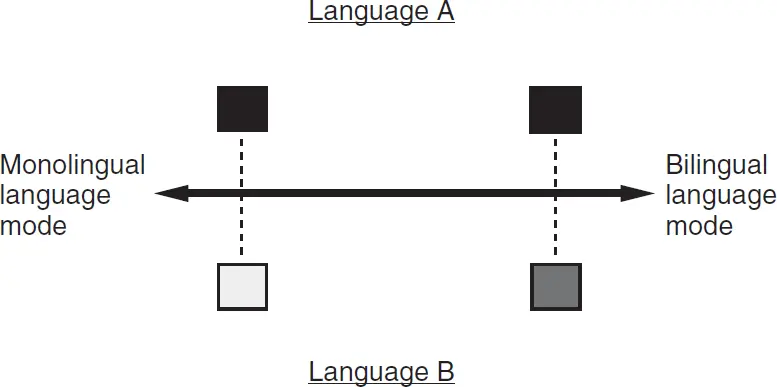 Figure 1 A visual representation of the languagemode continuum Note Two - фото 20