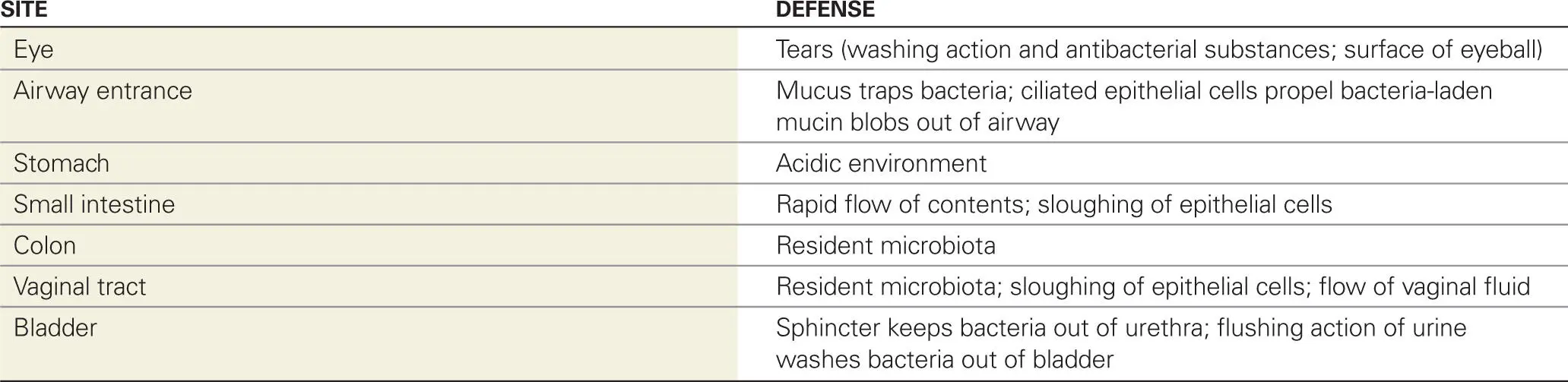Normal Microbiota of the Skin and Mucosa The defenses of the skin do not - фото 14