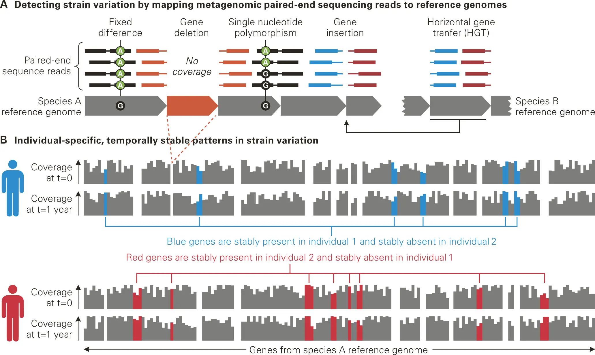Figure 511 Metagenomic profiling of strainlevel variation in microbial - фото 74