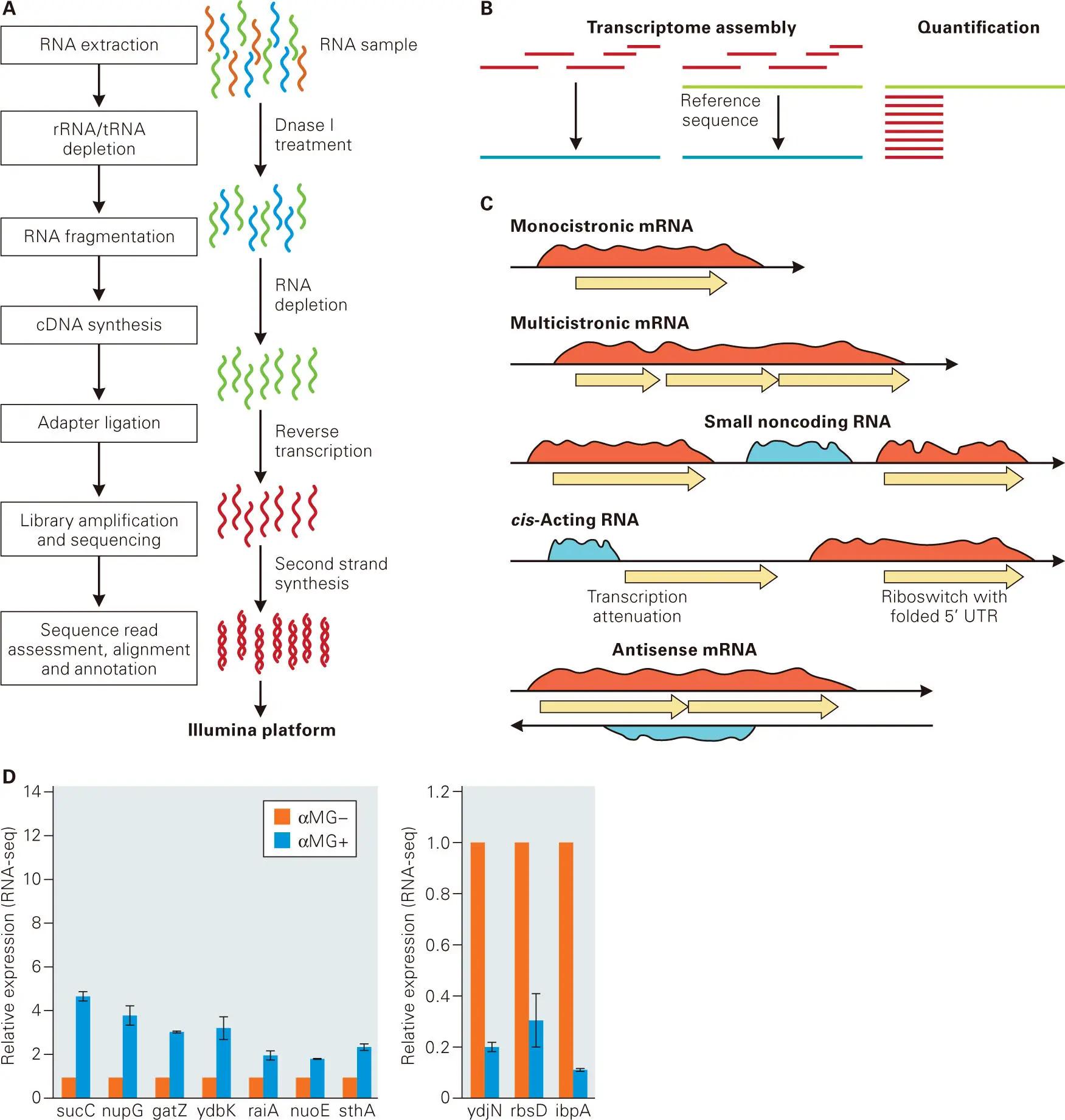 Figure 512 RNAseq technology The Illumina RNAseq platform enables global - фото 75