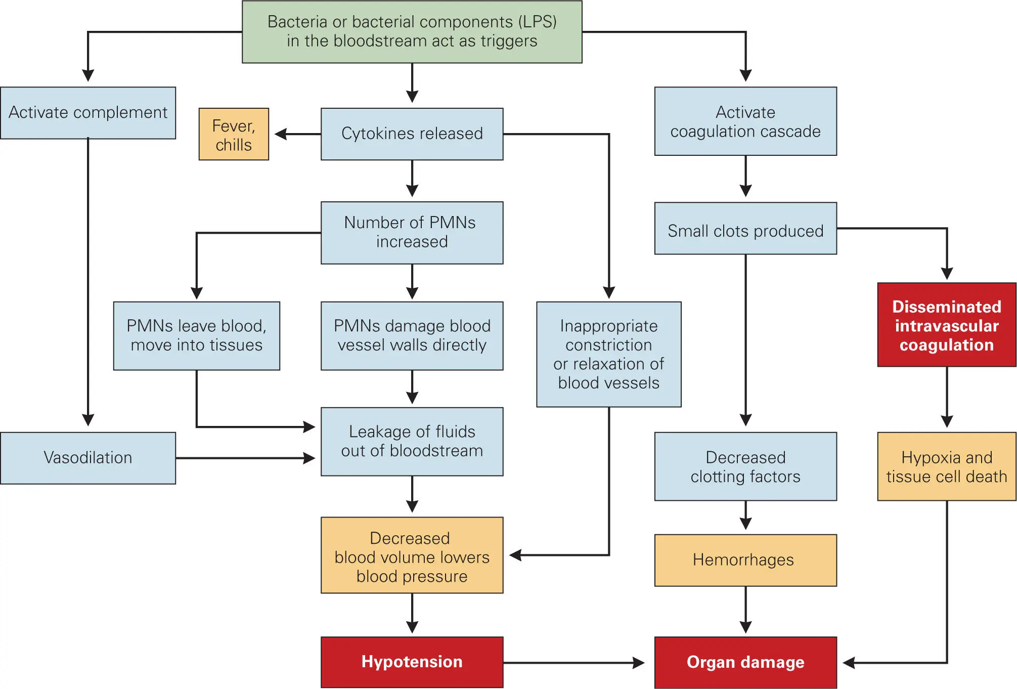 Figure 318 Sources of hypotension disseminated intravascular coagulation - фото 45