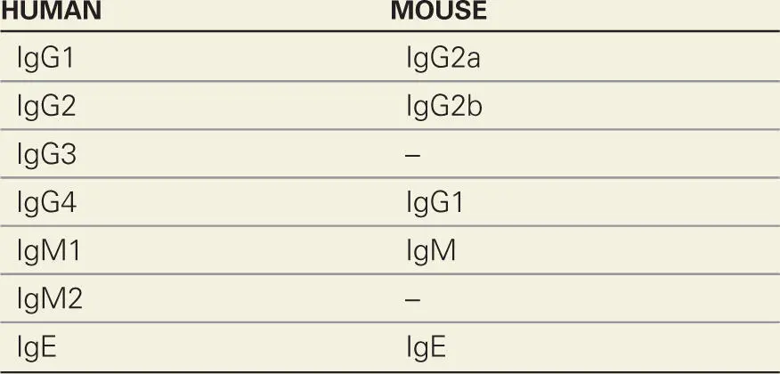 Why such differences occur between closely related species remains a - фото 49