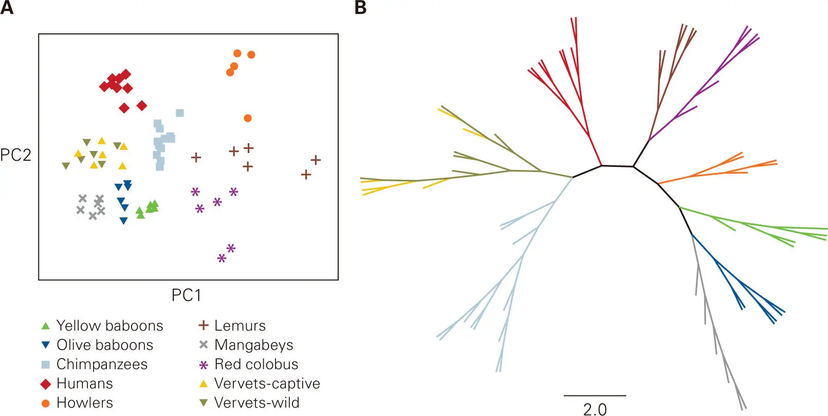 Figure 53 Principal component analysis to show relationships among microbial - фото 66