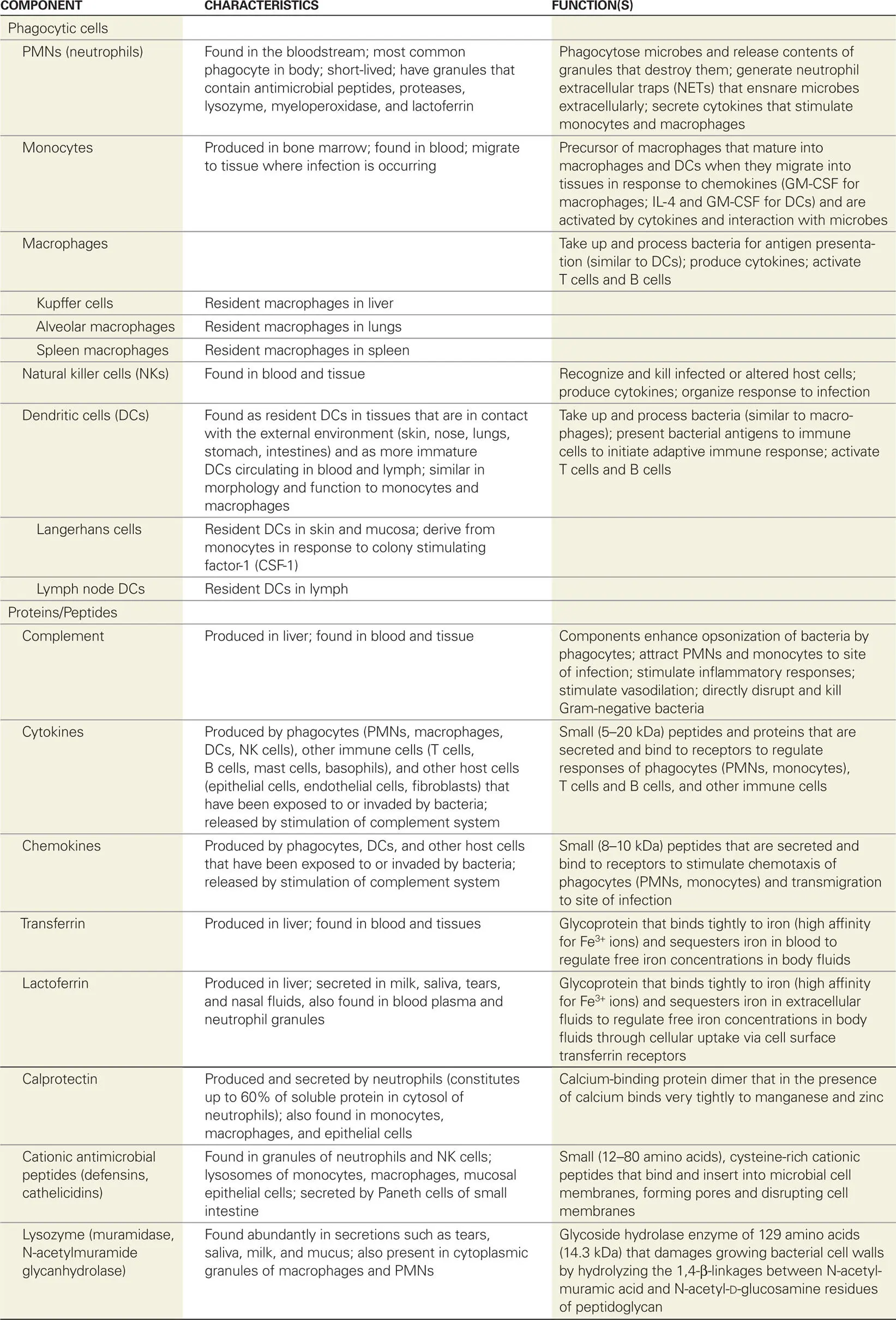 Innate Immune Cells That Defend Blood and Tissue The major cell types - фото 24