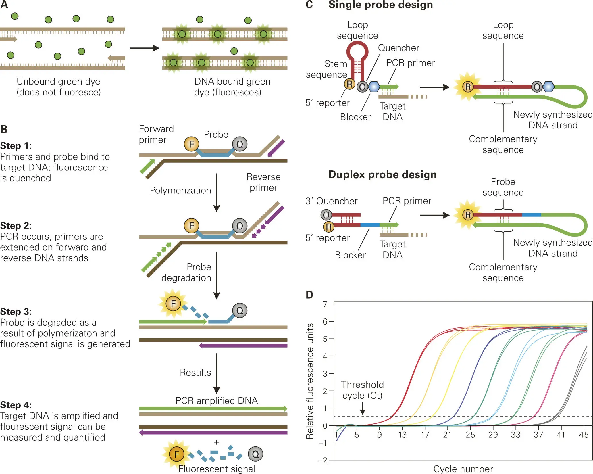 Figure 55 qPCR used to quantify specific bacteria in complex samples Unlike - фото 68
