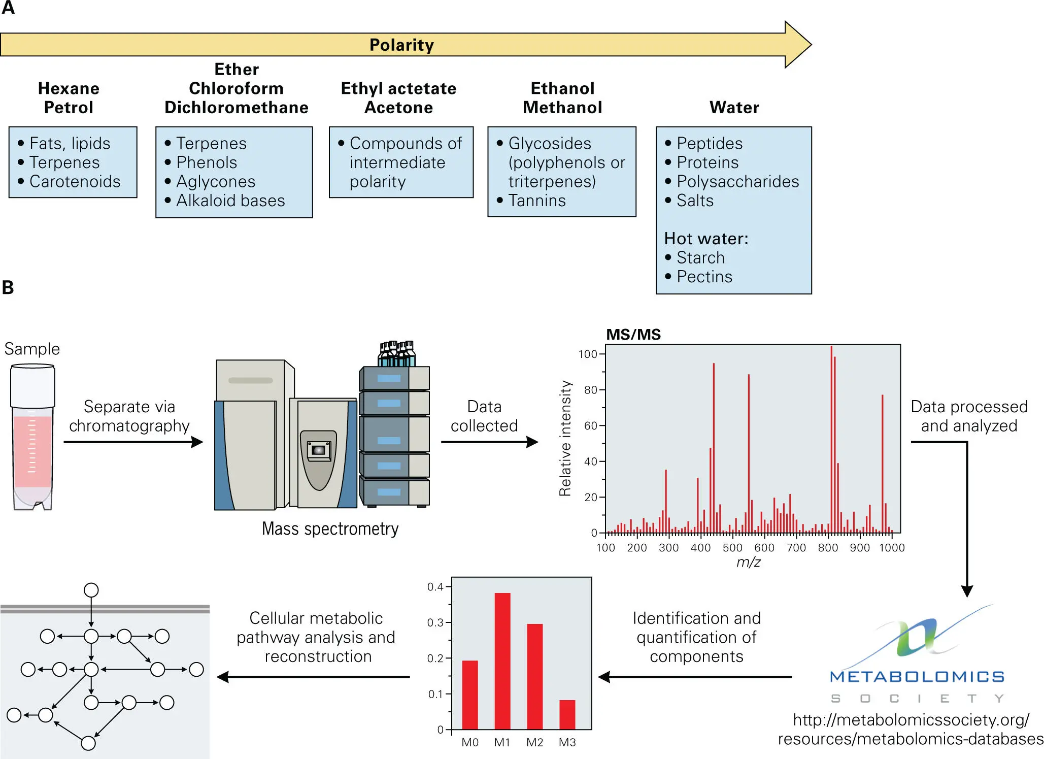 Figure 514 Overview of metabolomics technology Metabolomics technology - фото 77