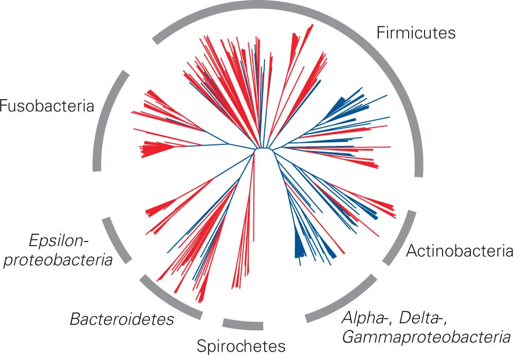 Figure 54 A radial phylogenetic tree showing the 16S rRNA gene sequence - фото 67