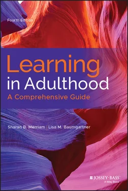 Sharan B. Merriam Learning in Adulthood обложка книги