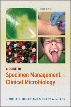 J. Michael Miller A Guide to Specimen Management in Clinical Microbiology обложка книги