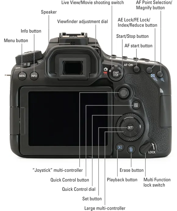 Canon EOS 90D For Dummies - изображение 11