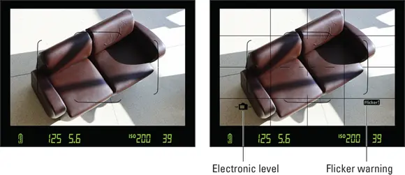 FIGURE 115The default viewfinder display left can be customized to include - фото 22