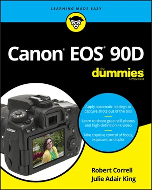 Robert Correll Canon EOS 90D For Dummies обложка книги