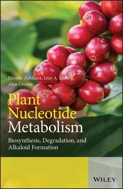 Hiroshi Ashihara Plant Nucleotide Metabolism обложка книги