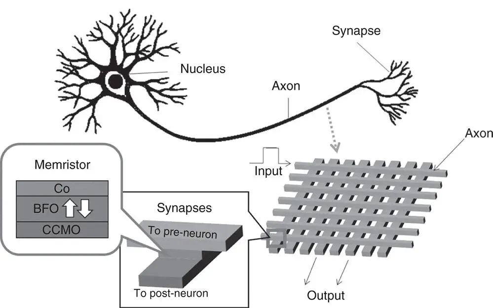 Figure 12A crossbar structure of synapse and artificial neuron networks based - фото 3