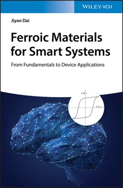 Jiyan Dai Ferroic Materials for Smart Systems обложка книги