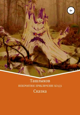 Леонид Ташлыков Невероятное приключение Влада обложка книги