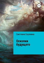 Светлана Скулкина - Осколки будущего