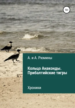 А. и А. Рюмины Кольцо Анаконды. Прибалтийские тигры. Хроники обложка книги