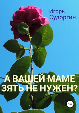 Игорь Судоргин А вашей маме зять не нужен? обложка книги