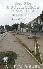 Олег Агранянц - Работа посольства в условиях жаркого климата