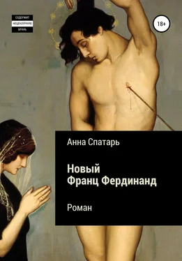 Анна Спатарь Новый Франц Фердинанд обложка книги