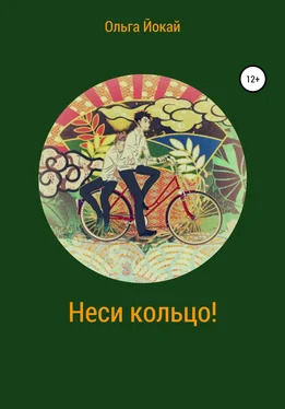 Ольга Йокай Неси кольцо! обложка книги