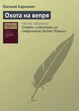 Евгений Карнович Охота на вепря обложка книги