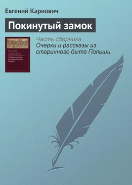 Евгений Карнович Покинутый замок обложка книги