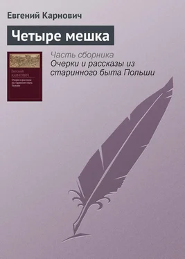 Евгений Карнович Четыре мешка обложка книги
