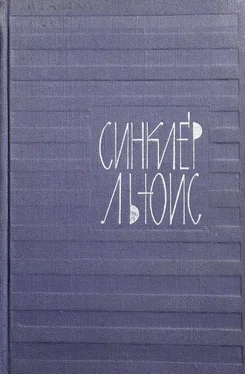 Синклер Льюис Том 5. Энн Виккерс обложка книги