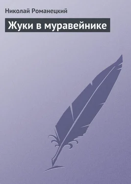 Николай Романецкий Жуки в муравейнике обложка книги