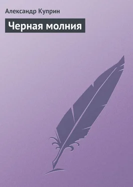 Александр Куприн Черная молния обложка книги