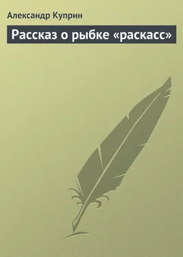 Александр Куприн Рассказ о рыбке «раскасс» обложка книги