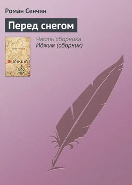 Роман Сенчин Перед снегом обложка книги