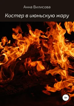 Анна Вилисова Костер в июньскую жару обложка книги