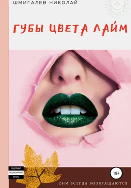 Николай Шмигалев Губы цвета лайм обложка книги