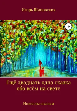 Игорь Шиповских Ещё двадцать одна сказка обо всём на свете обложка книги