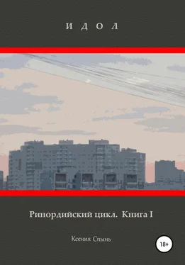 Ксения Спынь Идол. Ринордийский цикл. Книга 1. обложка книги