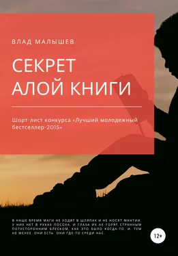 Влад Малышев Секрет Алой книги… обложка книги