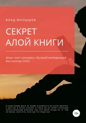 Влад Малышев - Секрет Алой книги…