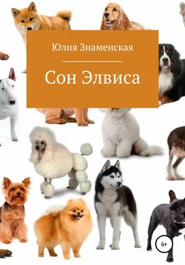 Юлия Знаменская Сон Элвиса обложка книги