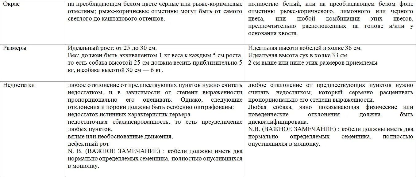 Каков он Джек Рассел терьер Рассел большая собака в маленьком теле Если - фото 8