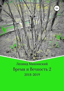 Леонид Машинский Время и Вечность 2 обложка книги