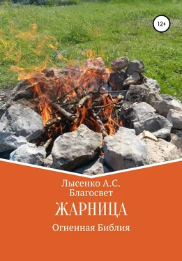 Алексей Лысенко（Благосвет） Жарница обложка книги