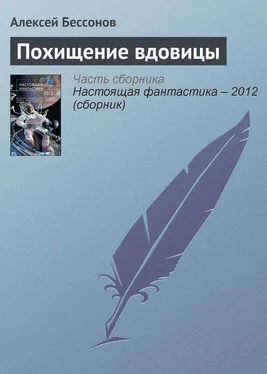 Алексей Бессонов Похищение вдовицы обложка книги