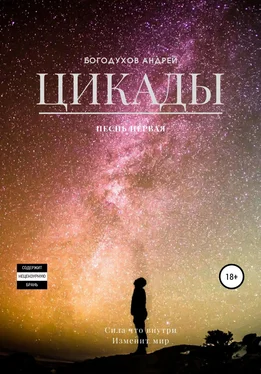 Андрей Богодухов Цикады. Песнь первая обложка книги