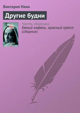 Виктория Нани Другие будни обложка книги