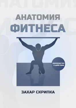 Захар Скрипка Анатомия фитнеса обложка книги