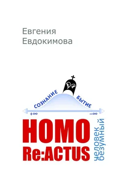 Евгения Евдокимова HOMO REACTUS: человек безумный обложка книги